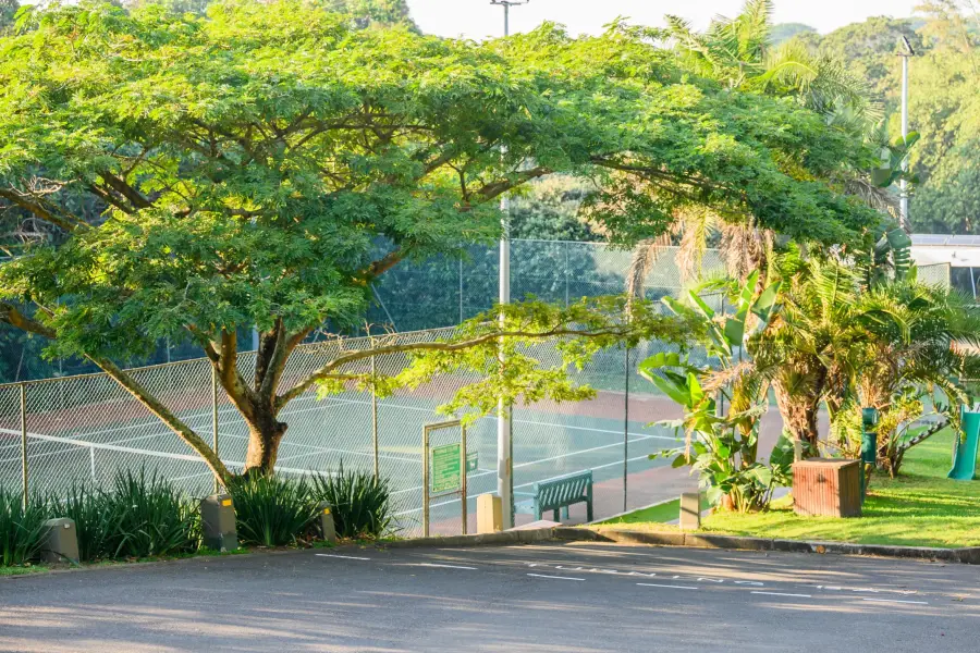 The estate tennis courts under the trees