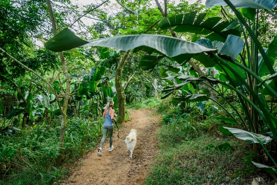A resident walking her dog on a forest trail through the estate