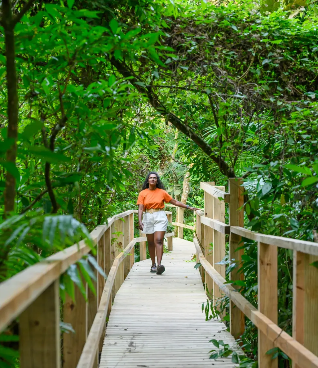 A resident walking along the timber boardwalk through the forest