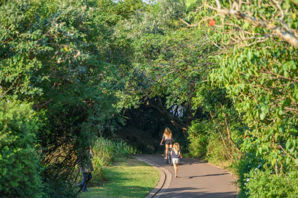 A family walking a shaded road through the estate forest