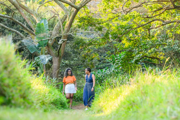Two residents chatting on a sunlit forest path
