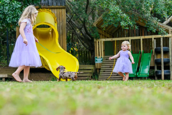 Children playing at the jungle gym