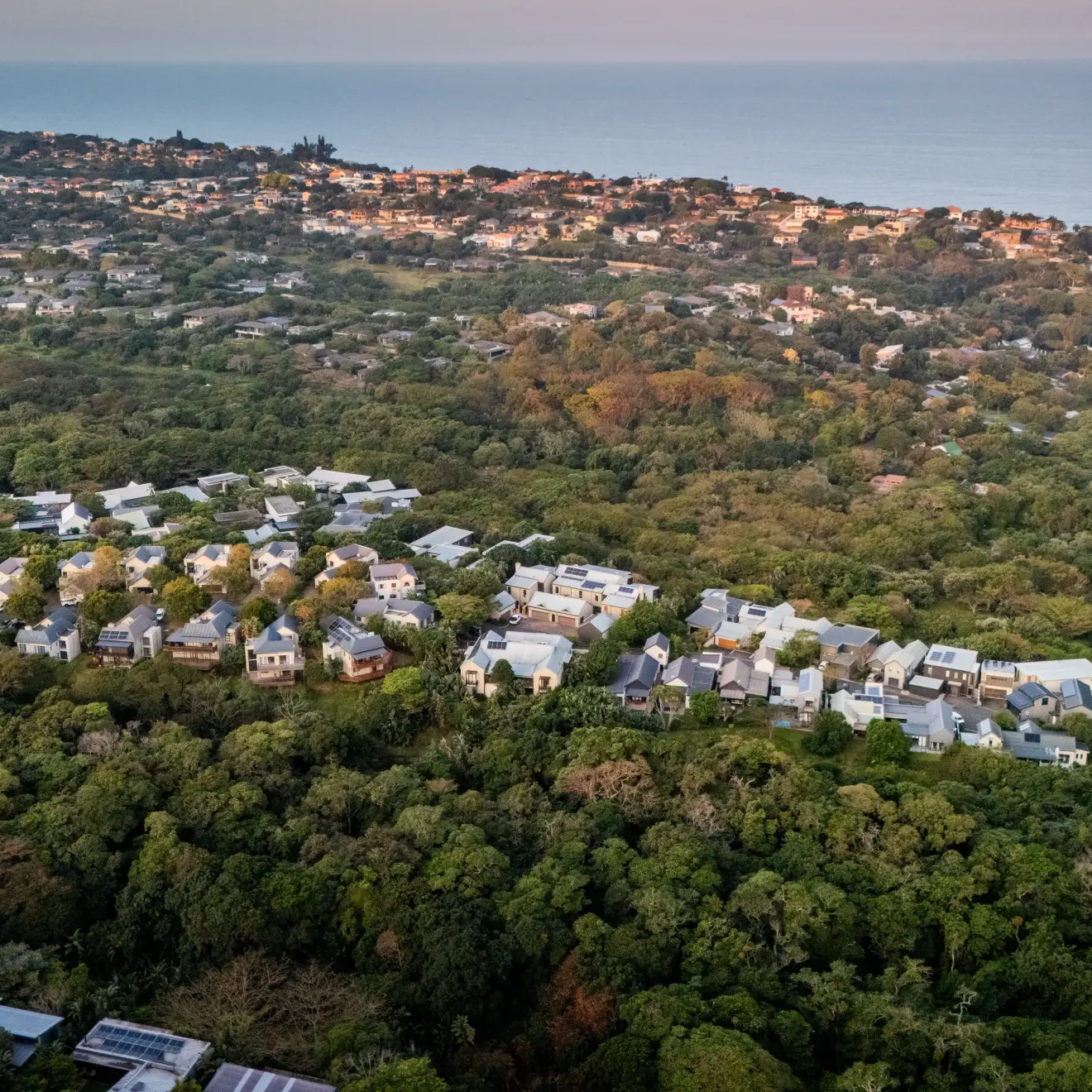 Dunkirk Estate from the air, homes among established greenery with the ocean beyond